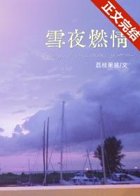 雪夜情话